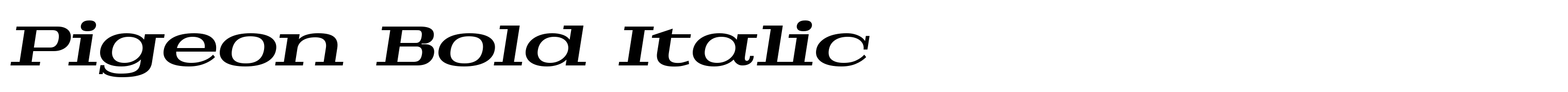 Pigeon Bold Italic